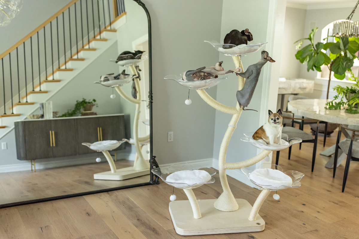 Summer Cleaning Guide: How to Keep Your Cat Tree Fresh and Fur-Free