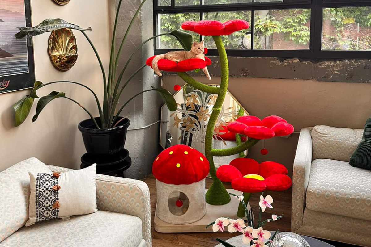 Flower Cat Trees and the Eden Collection by KBSPets