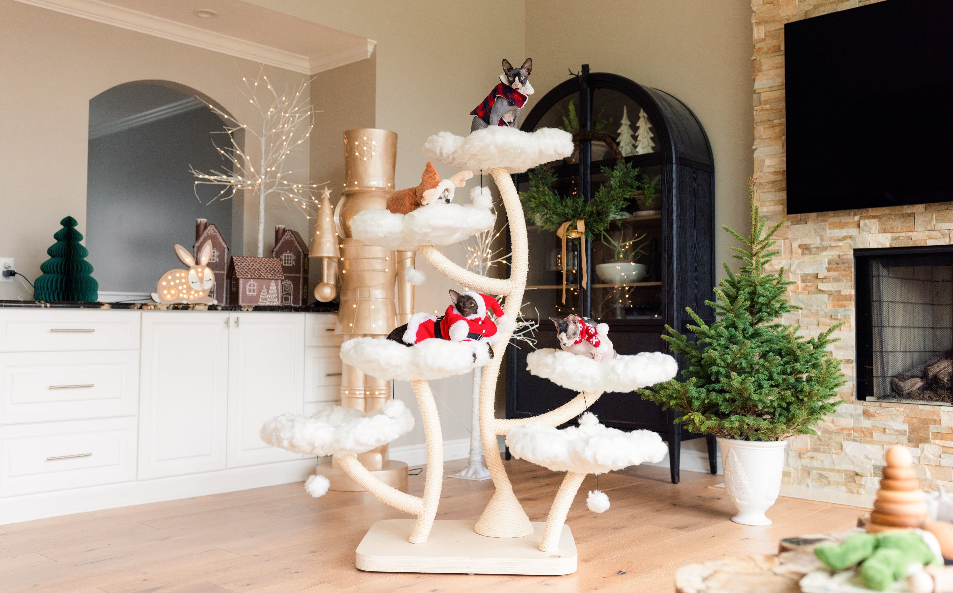 HEXAFLORA, wood cat tree, custom cat tower