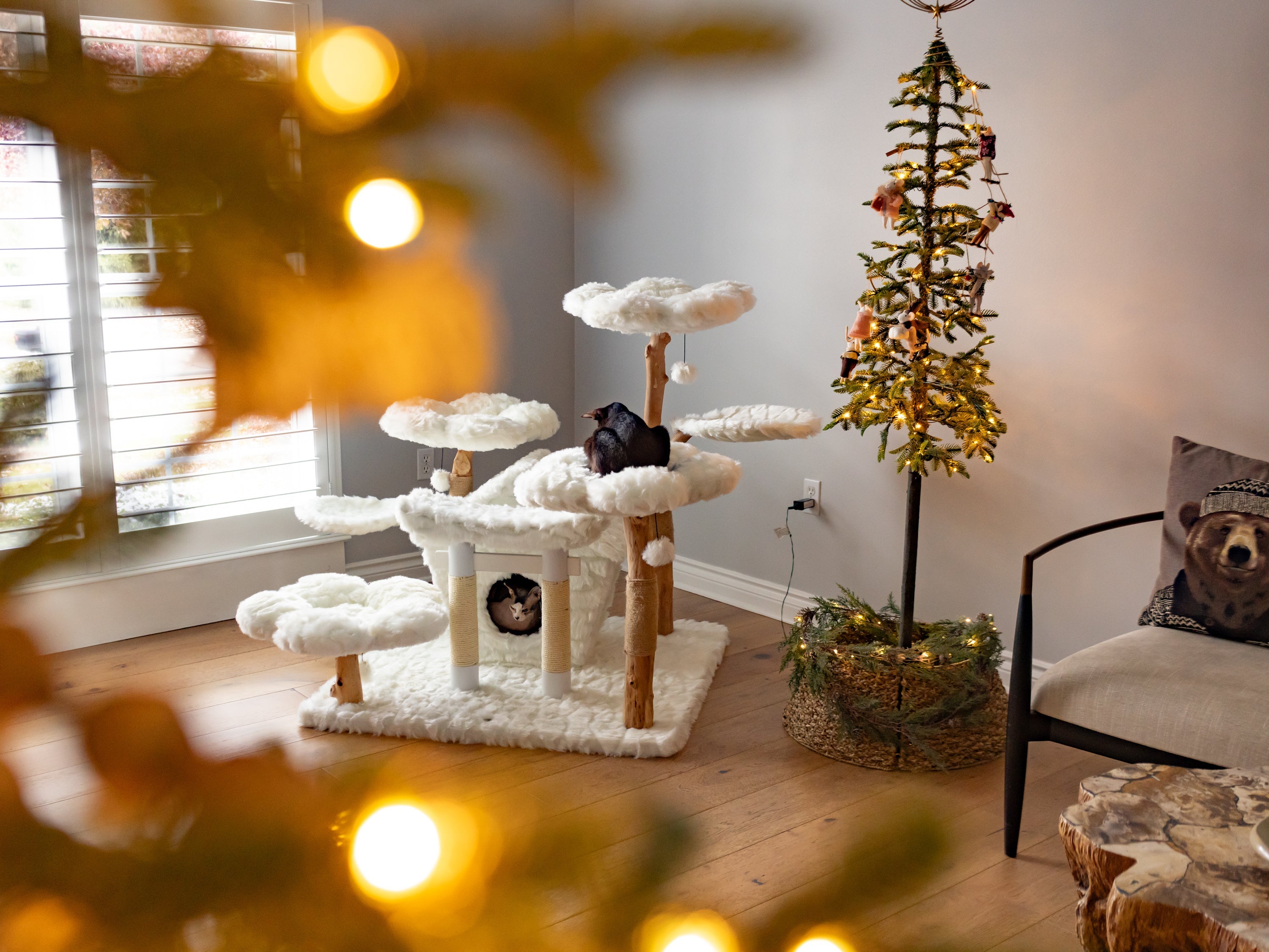 WINTER BLOOMS (Copy)