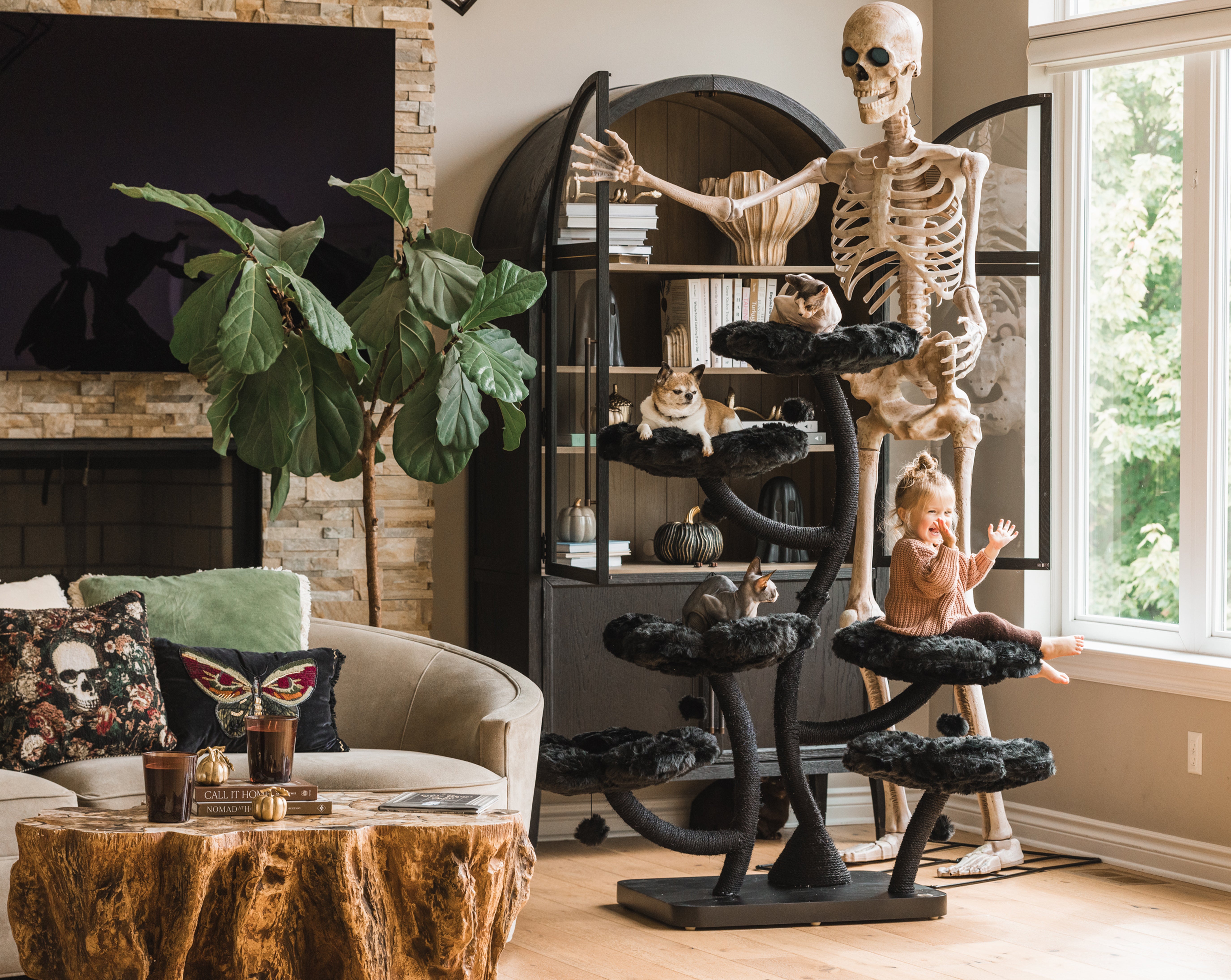 TEDDY NOIR HEXAFLORA