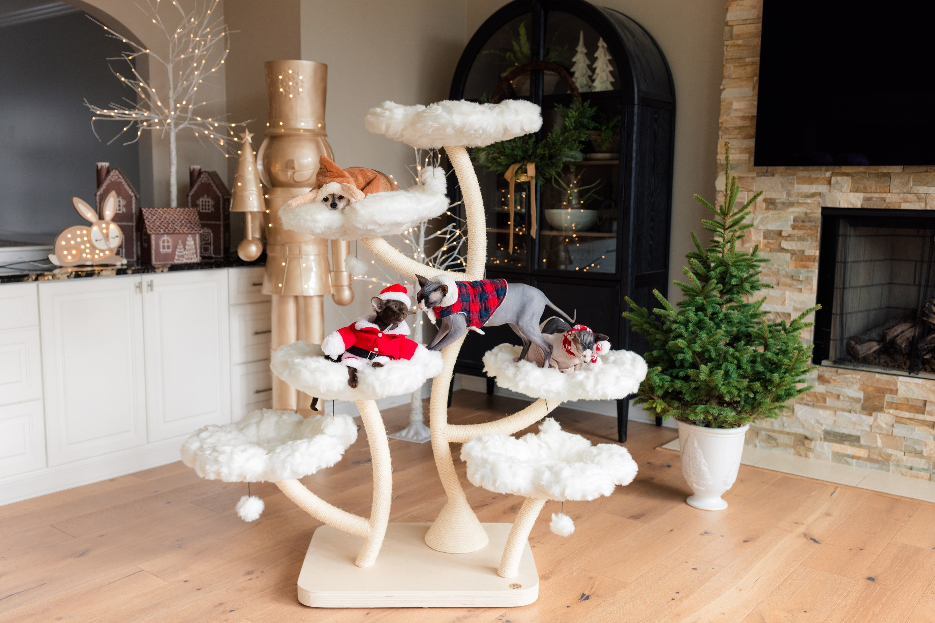 TEDDY BLANC HEXAFLORA