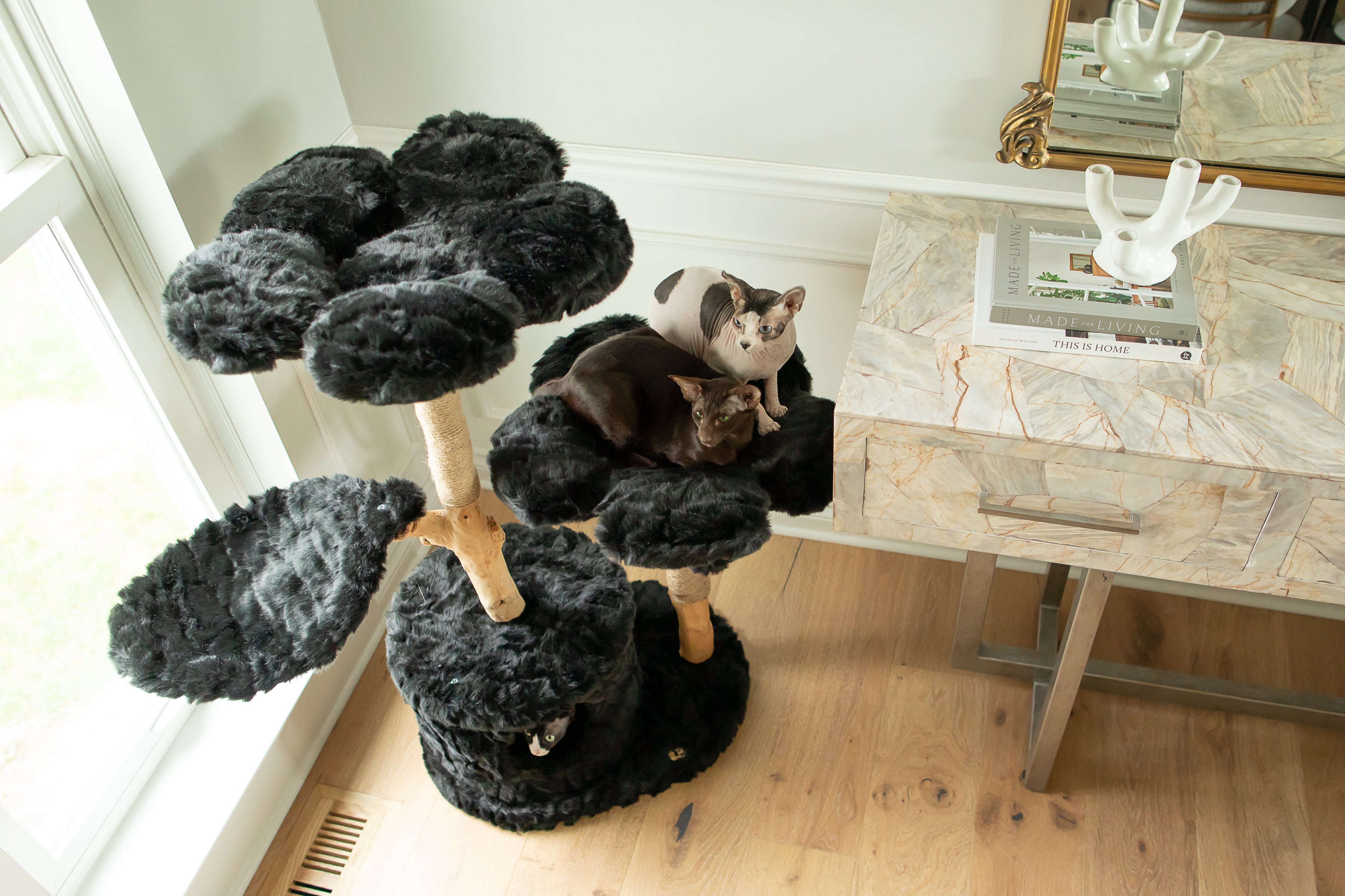 A stylish cat perches on a contemporary cat tree, basking in comfort
