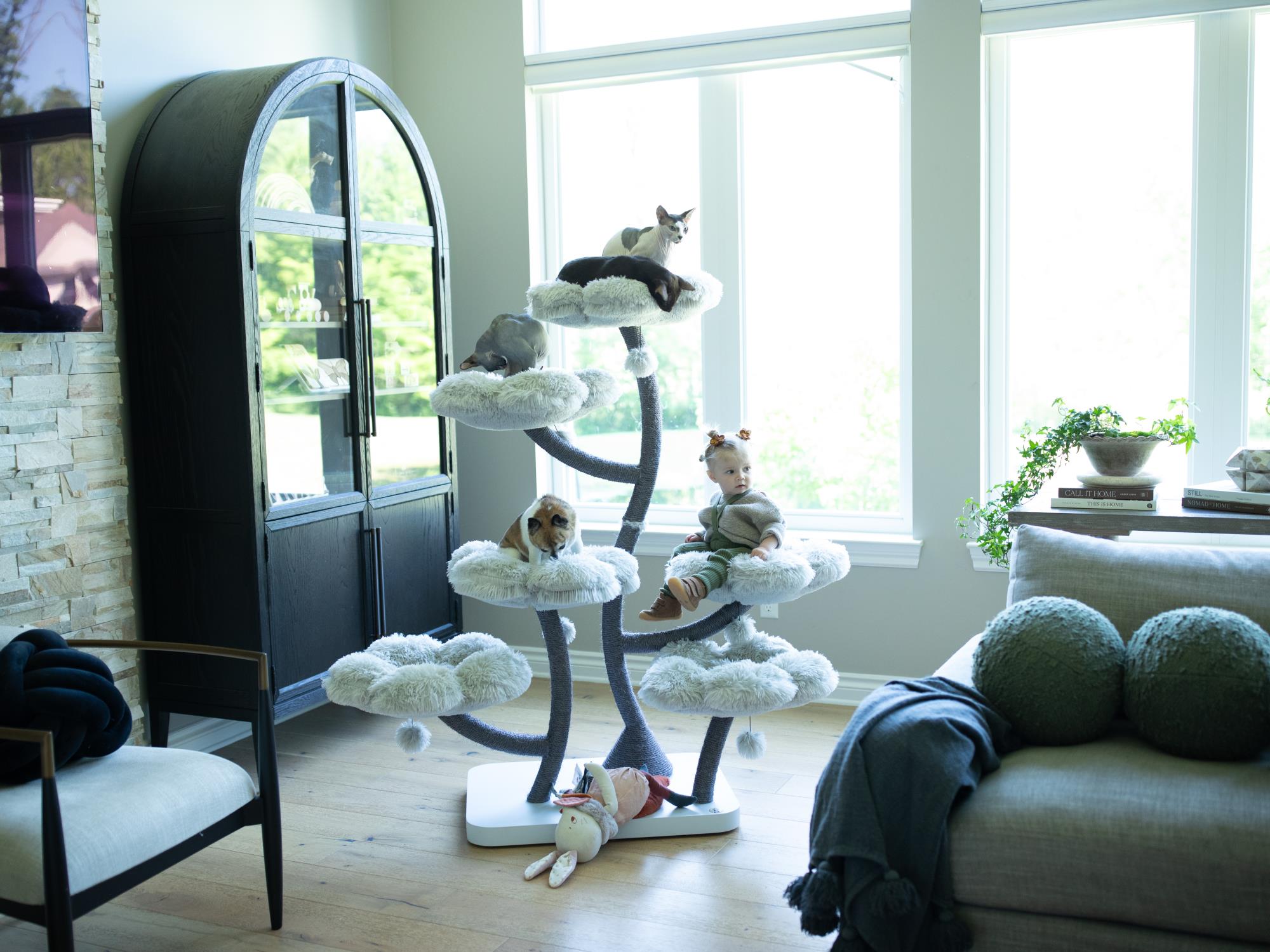 GRAPHITE GREY HEXAFLORA