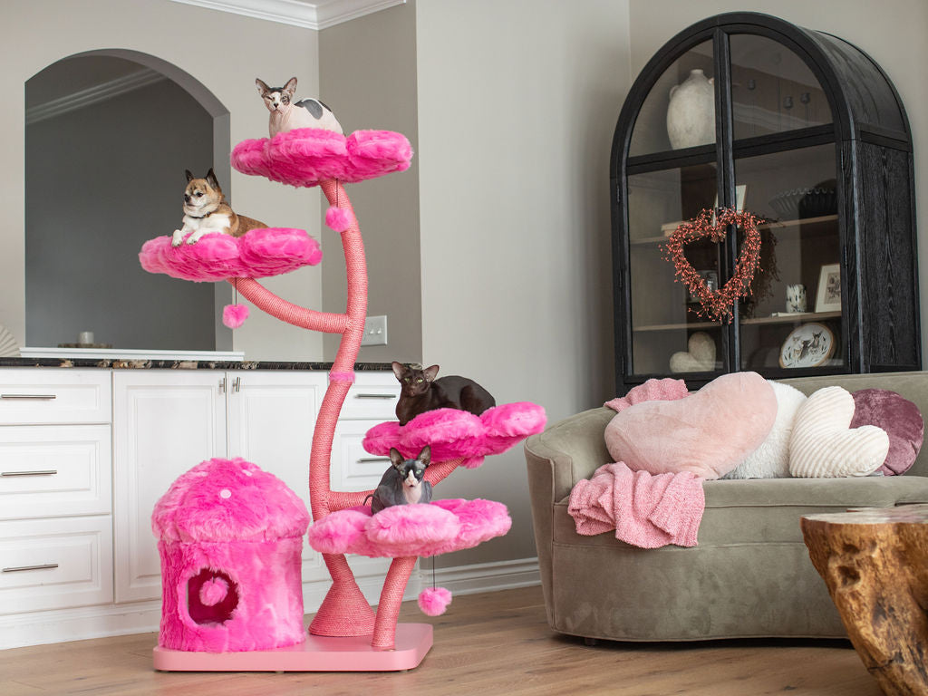 AZALEA MONOTONE EDEN: THE GARDEN OF FLOWERS