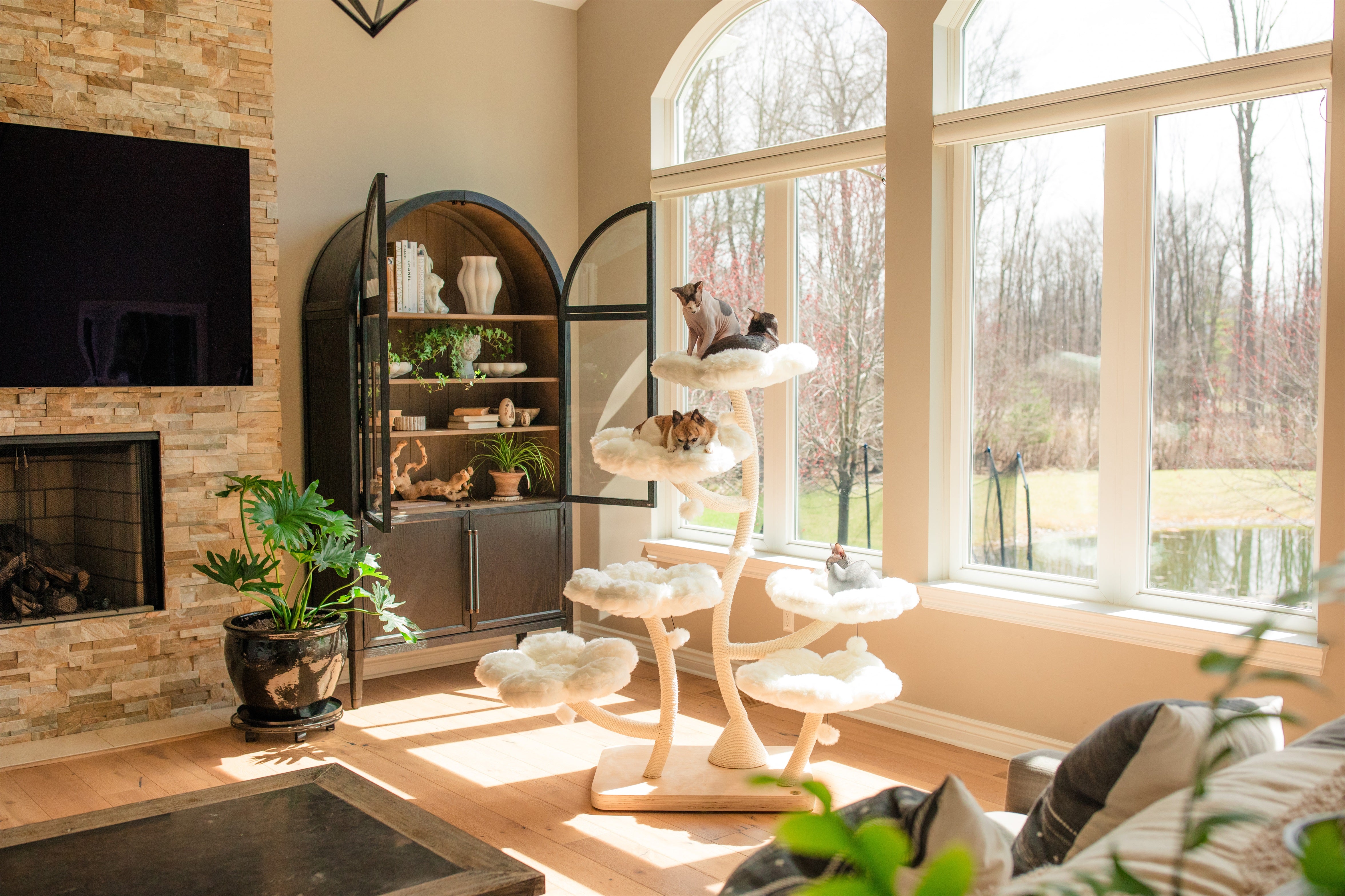 TEDDY BLANC HEXAFLORA