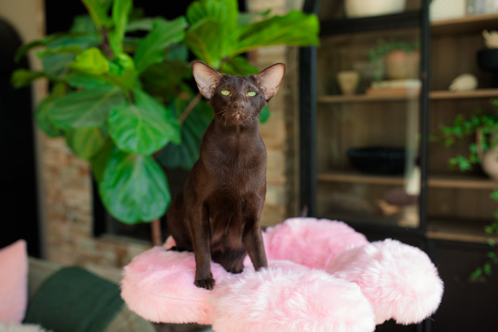 CHERRY BLOSSOM MONOTONE TRES - KBS FLORAL CAT TREE