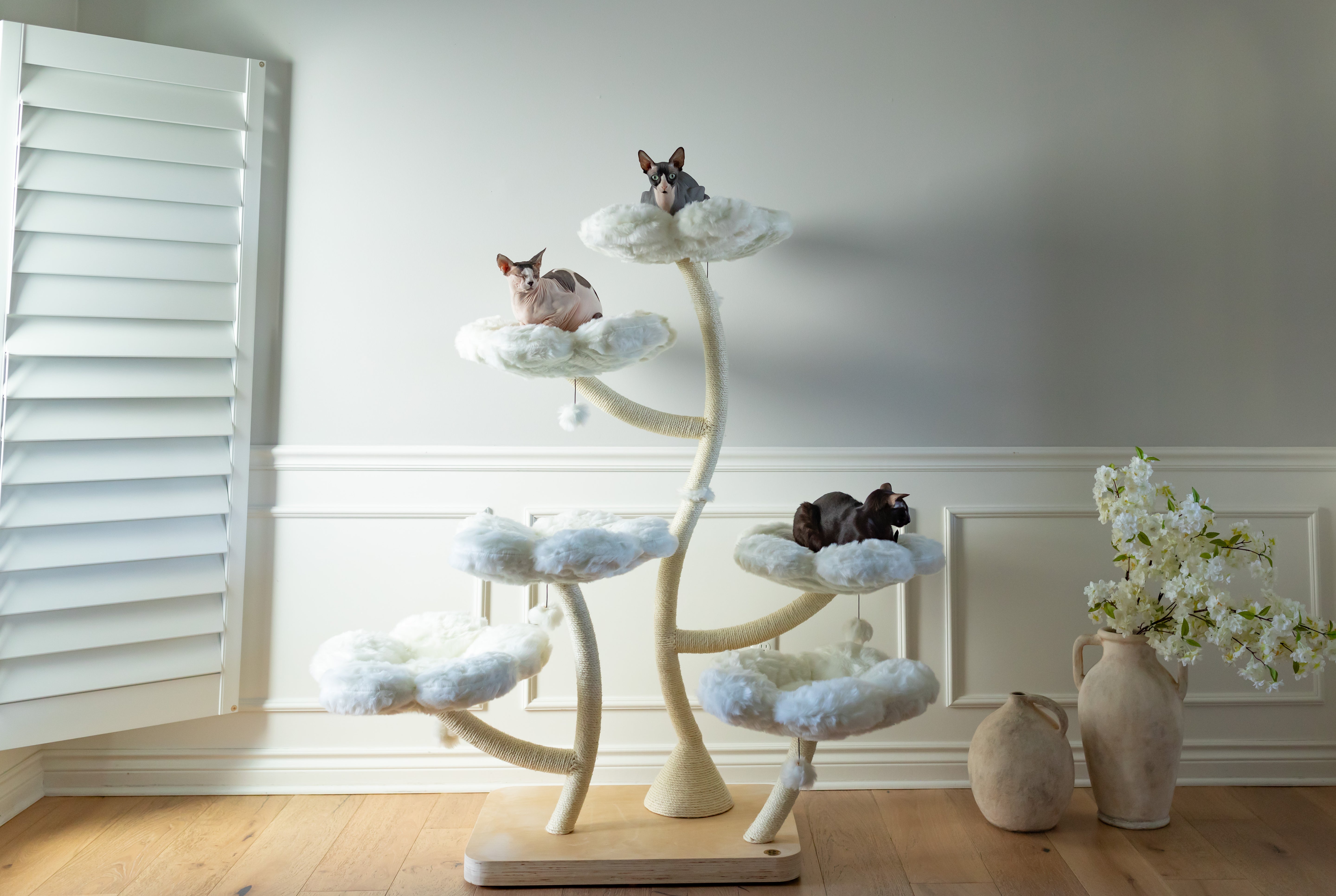 TEDDY BLANC HEXAFLORA