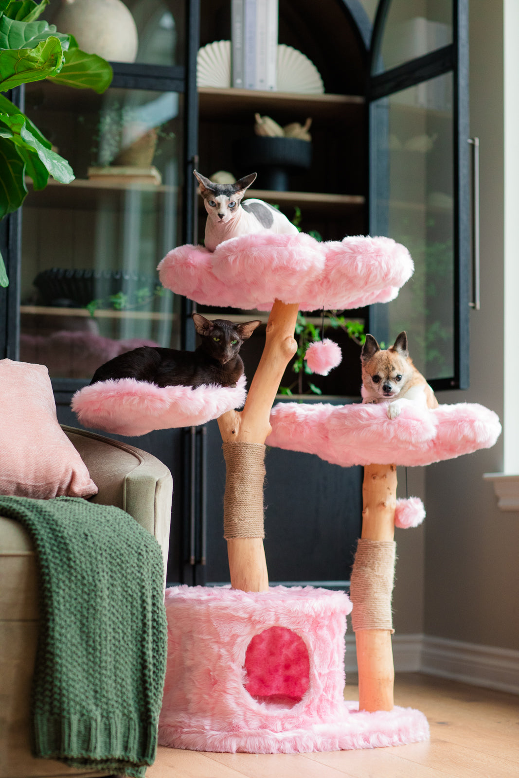 CHERRY BLOSSOM MONOTONE TRES - KBS FLORAL CAT TREE