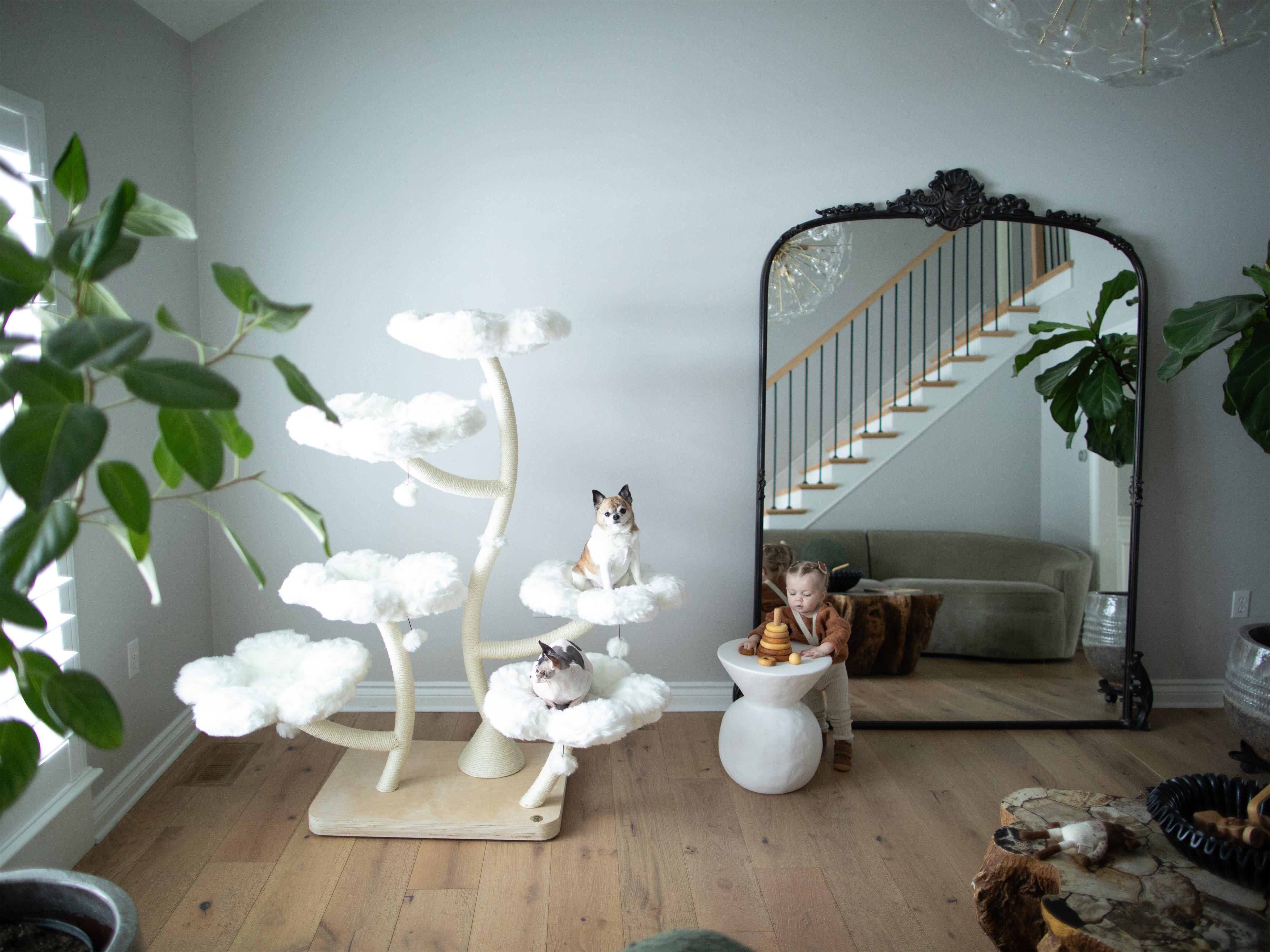 TEDDY BLANC HEXAFLORA