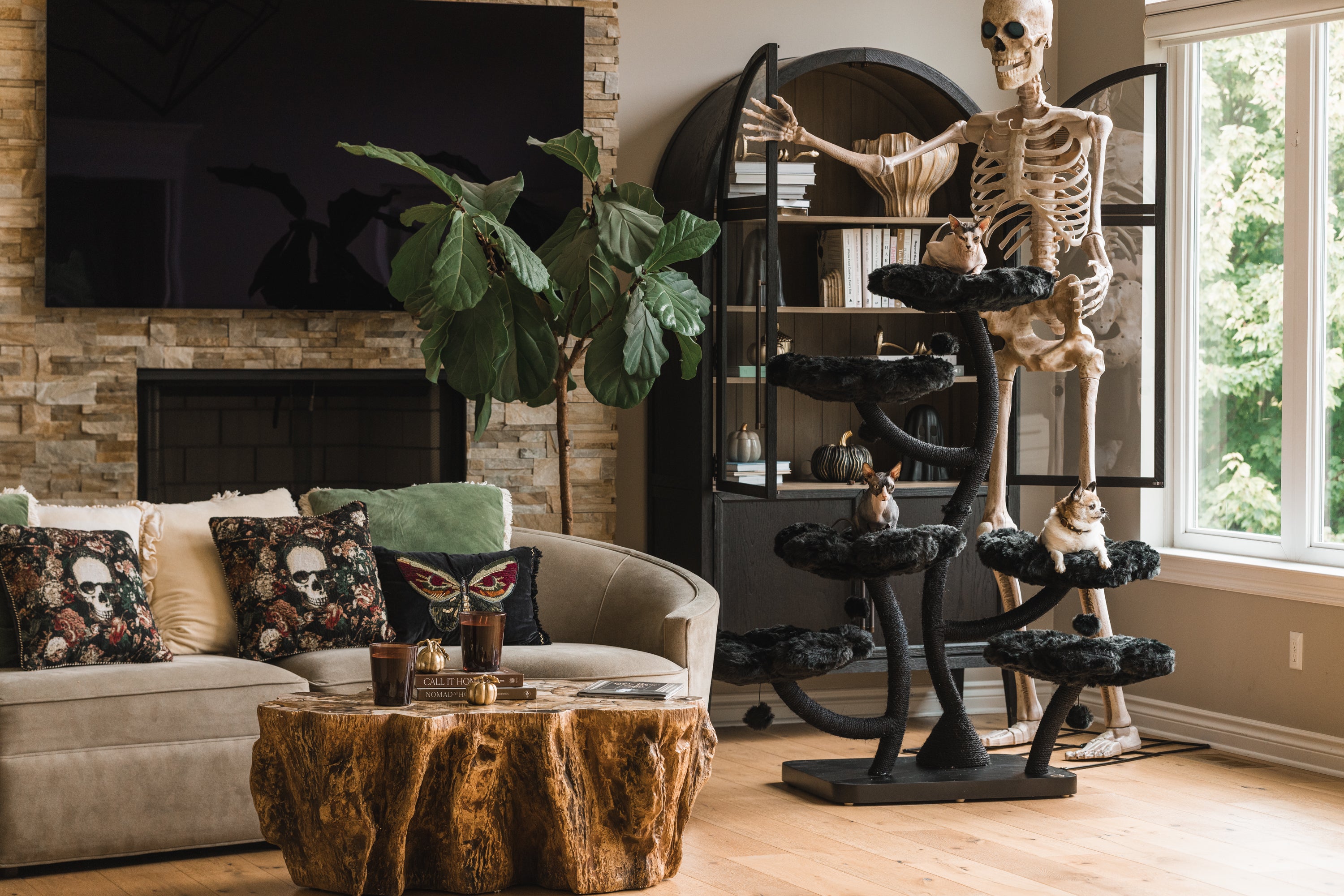 TEDDY NOIR HEXAFLORA