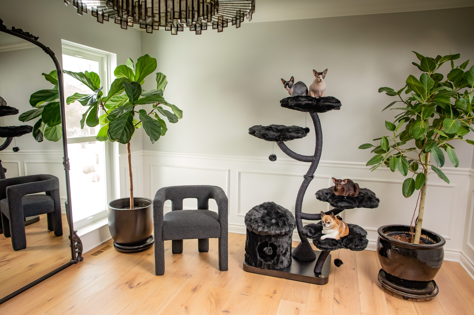 TEDDY NOIR EDEN: THE GARDEN OF FLOWERS