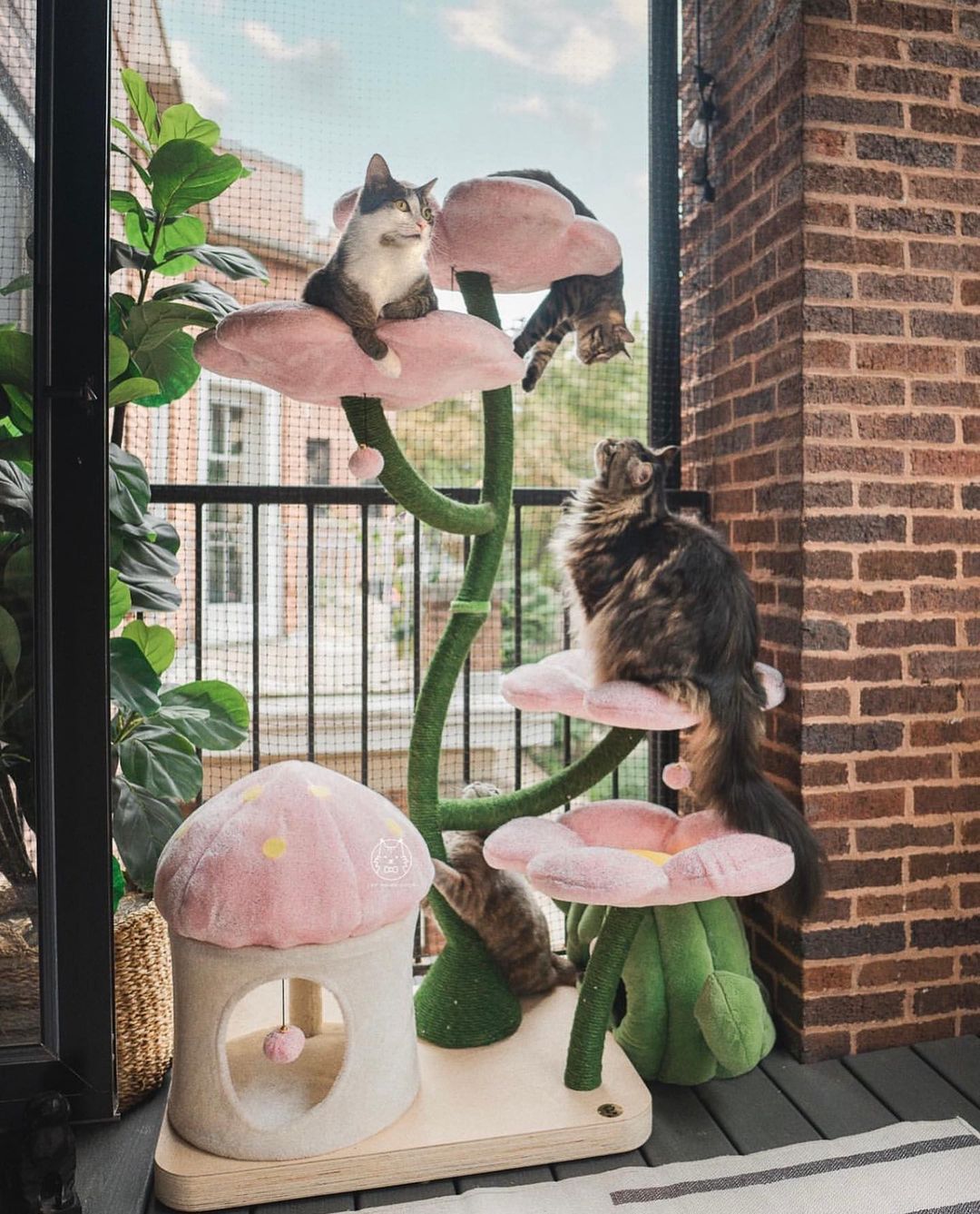 Two cats happily playing on a modern cat tree, showcasing stylish and functional cat furniture