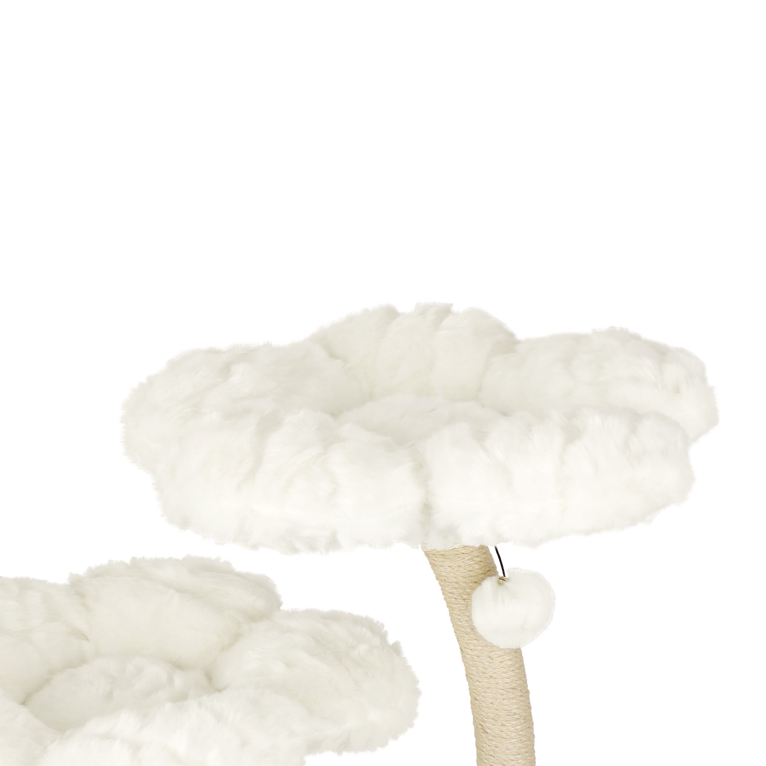 TEDDY BLANC EDEN: THE GARDEN OF FLOWERS