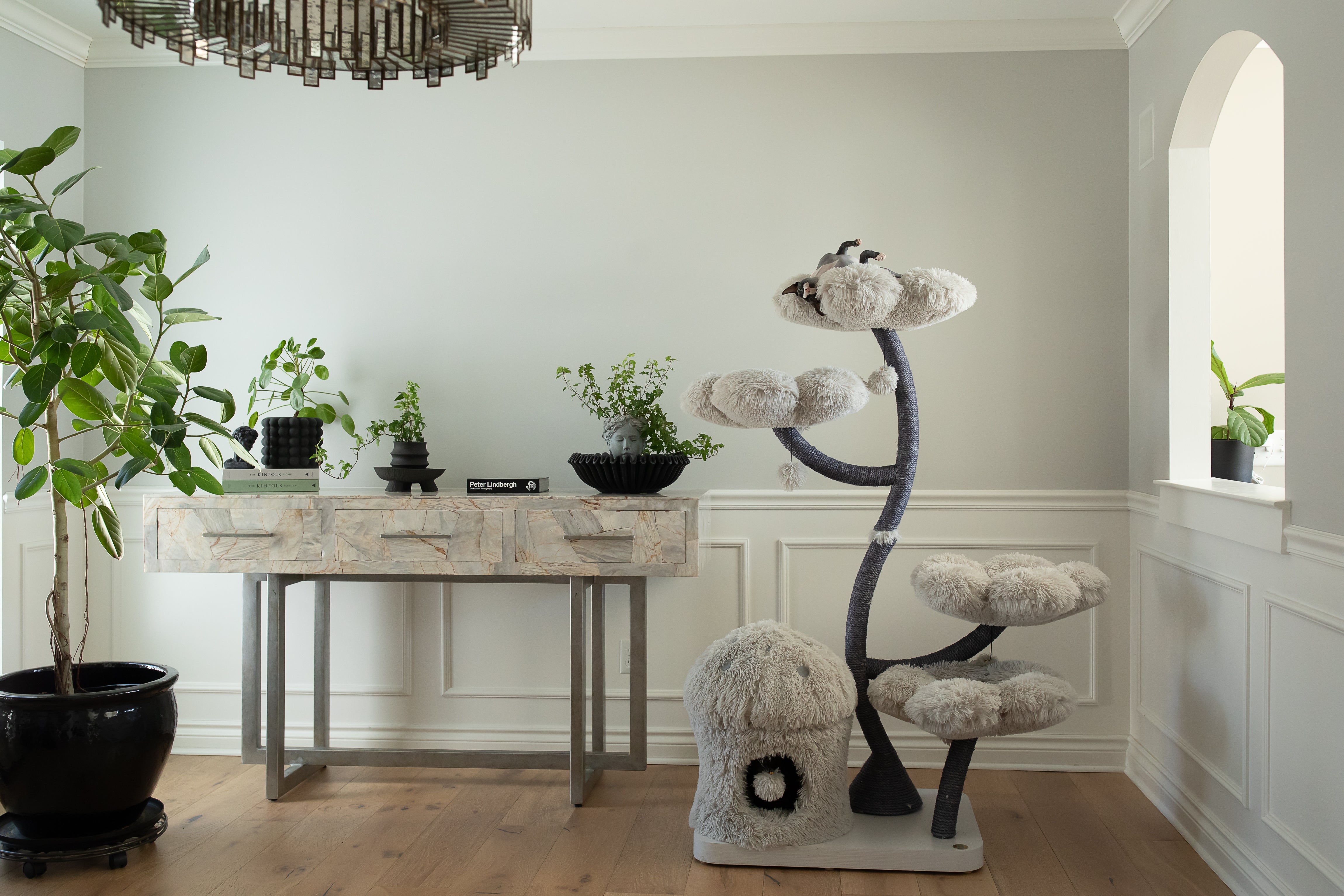 A cat sitting on a tree branch surrounded by colorful flowers cat tree