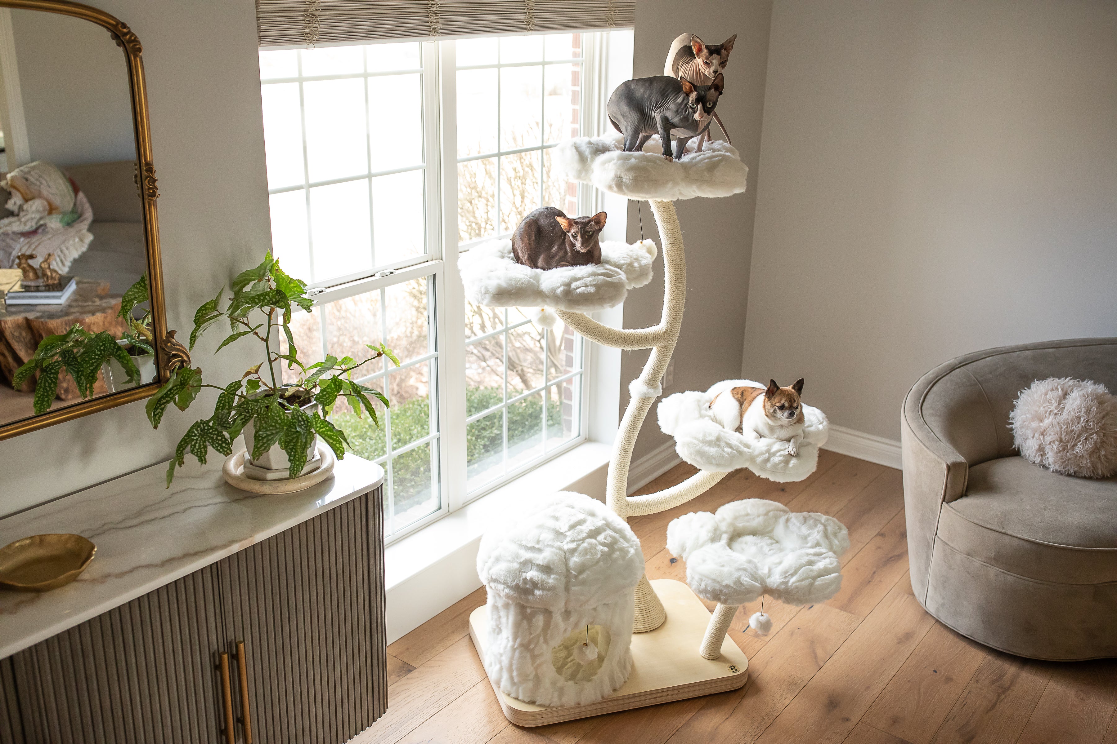 TEDDY BLANC EDEN: THE GARDEN OF FLOWERS