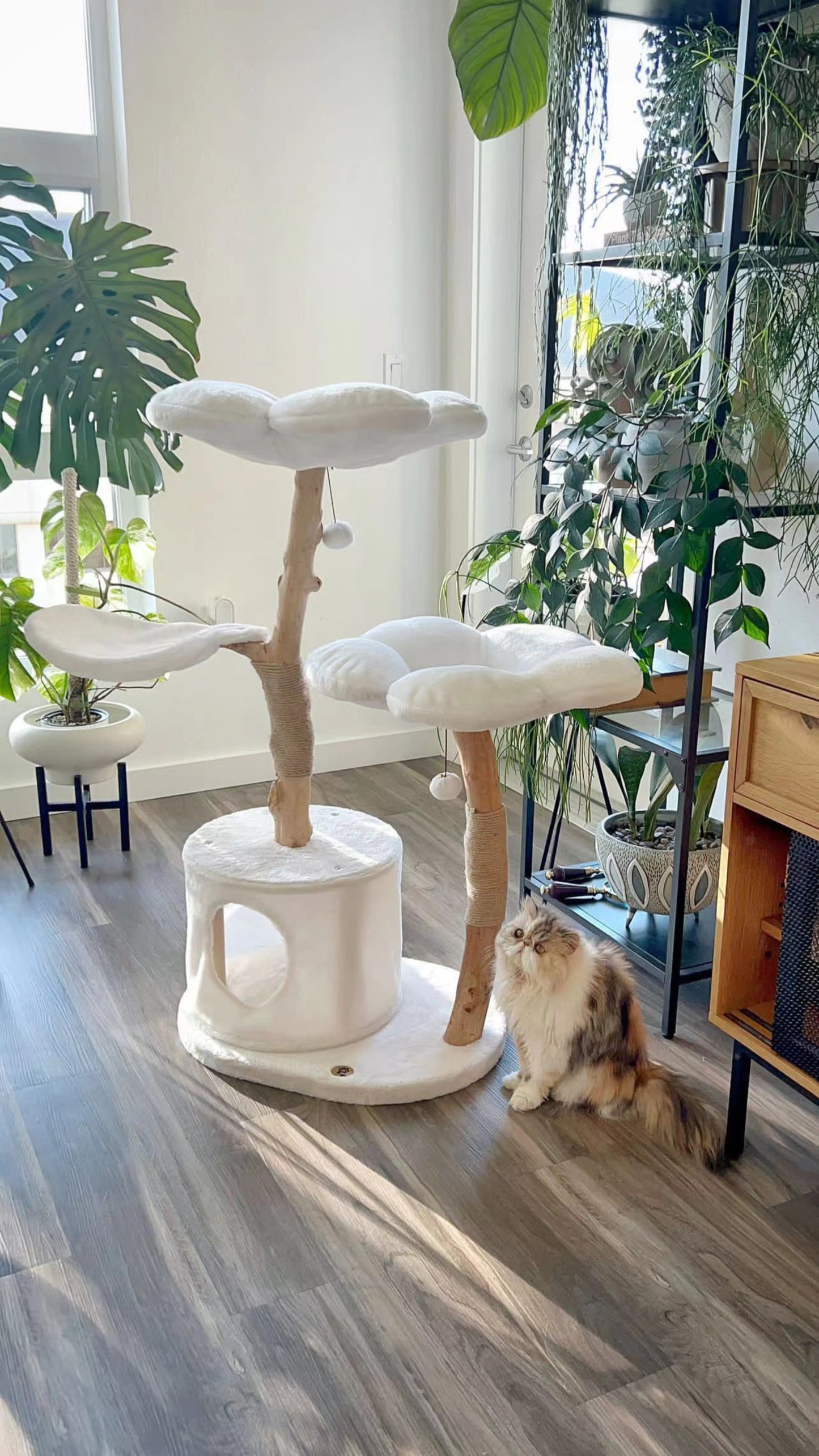 COZY PLUSH BLANC TRES - KBS FLORAL CAT TREE