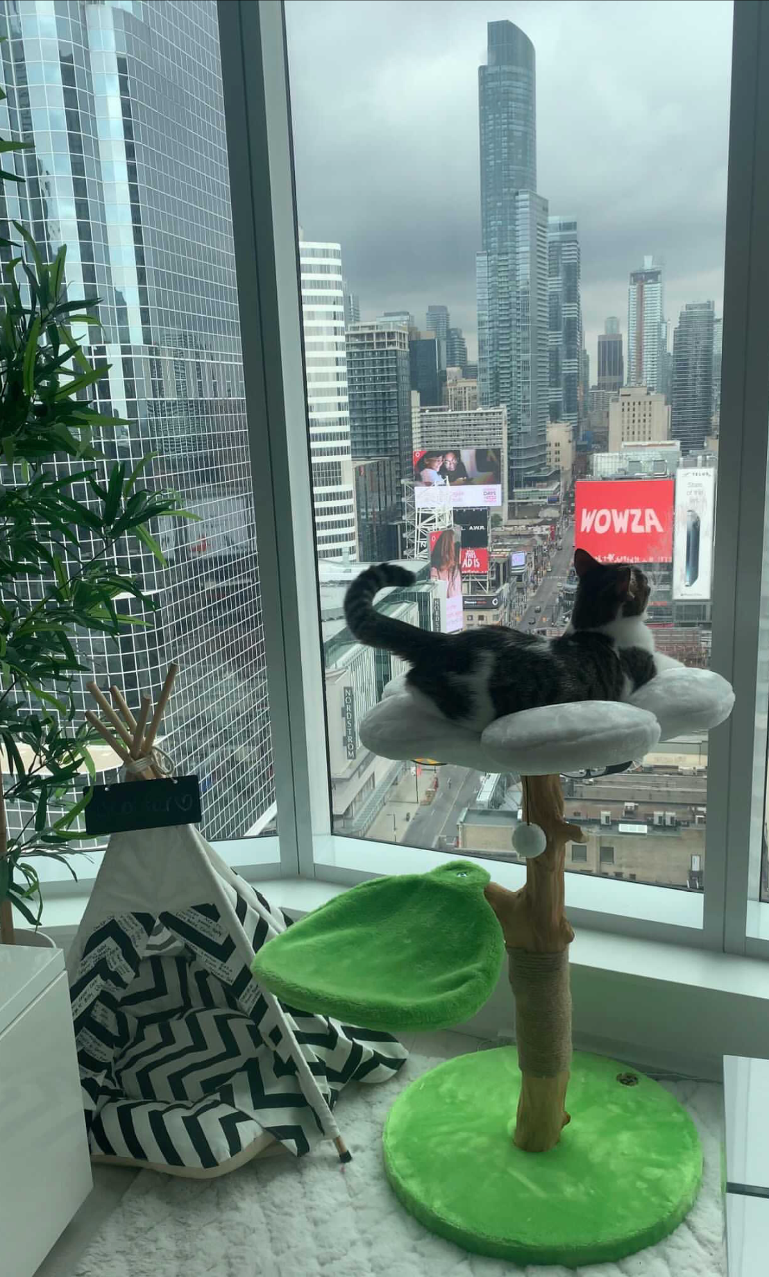 DAISY DOS - KBS FLORAL CAT TREE