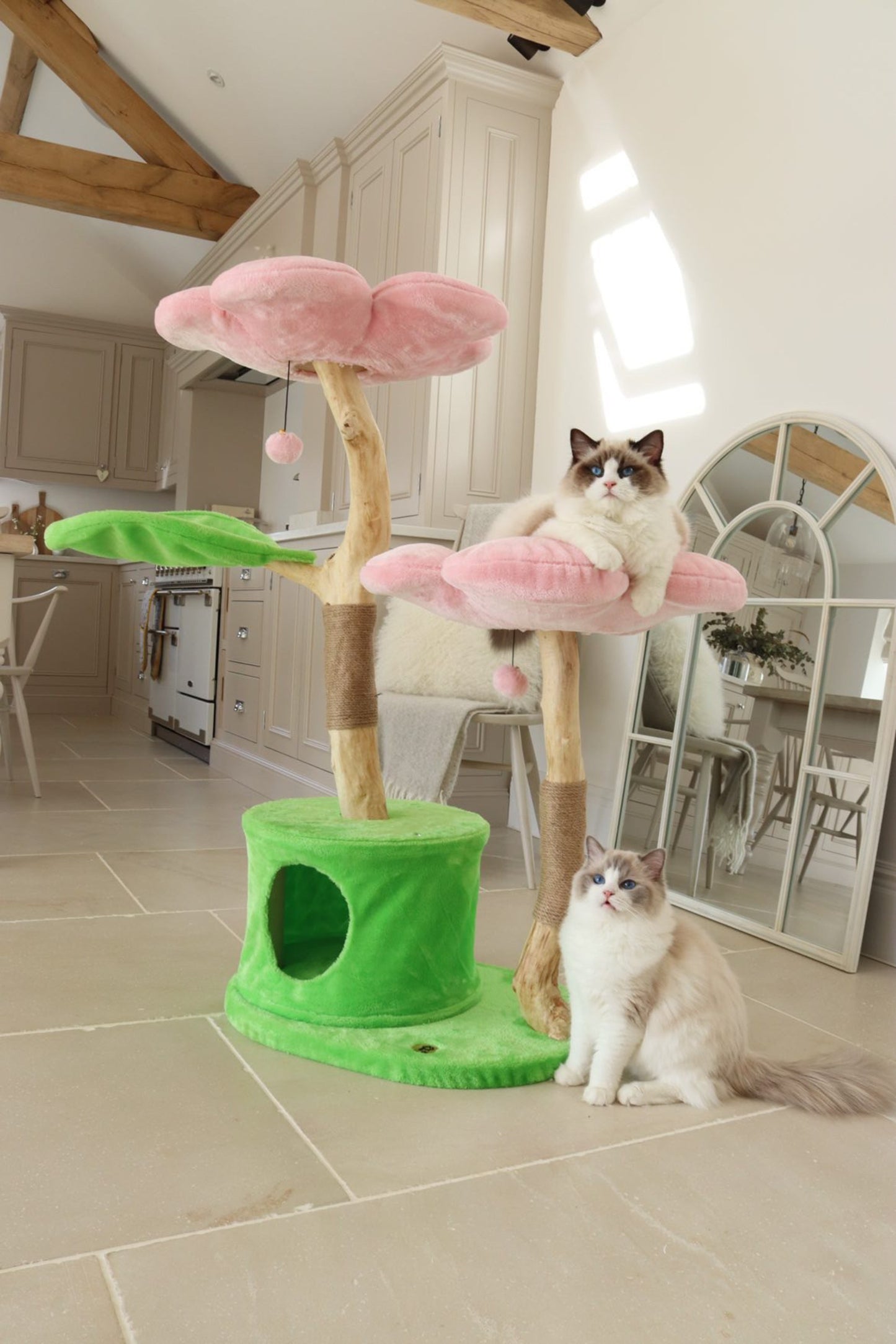 Cat on flower tree, enjoying its surroundings