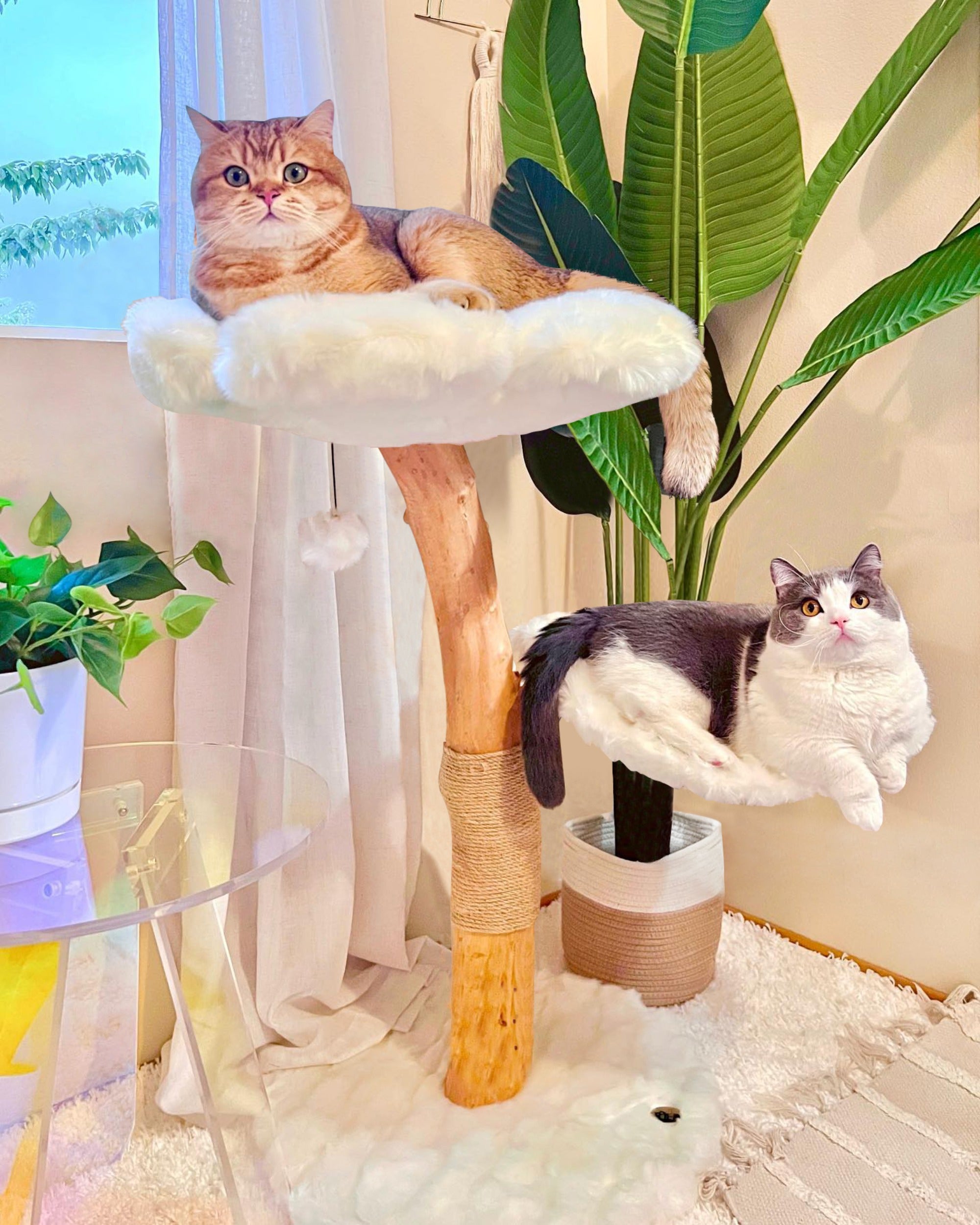 TEDDY BLANC DOS - KBS FLORAL CAT TREE