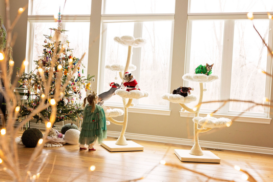 Modern Cat Furniture