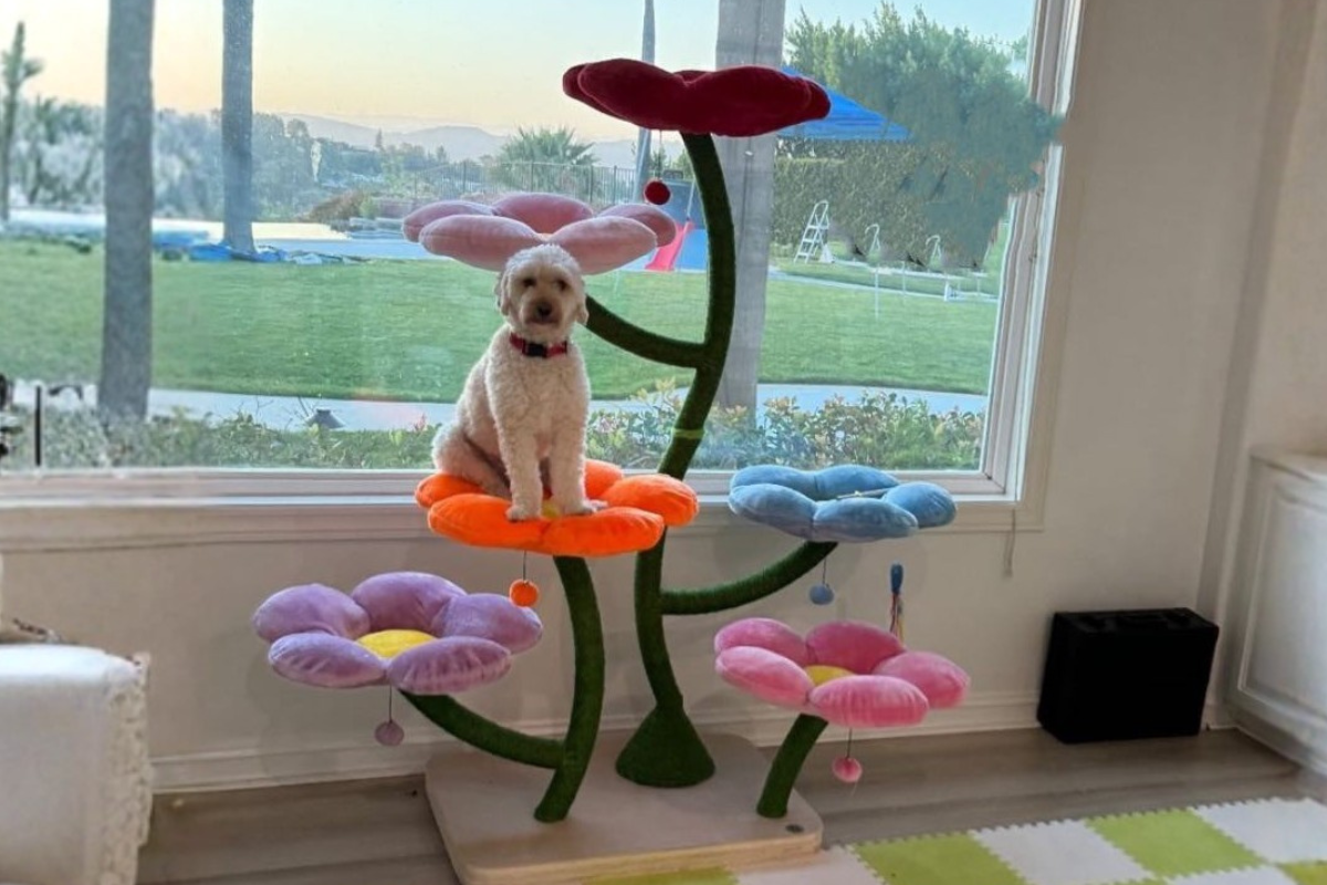 Flower Cat Tree: Spring Home Decor Ideas for Pet Lovers