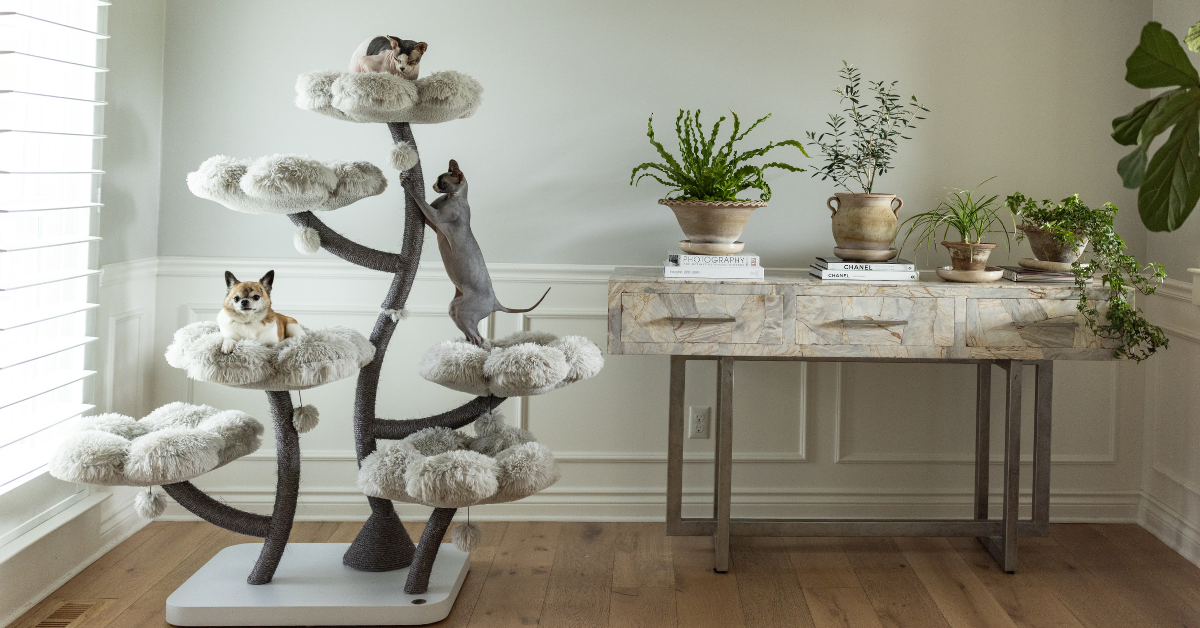 7 Super High Quality Cat Trees for Your Kitty