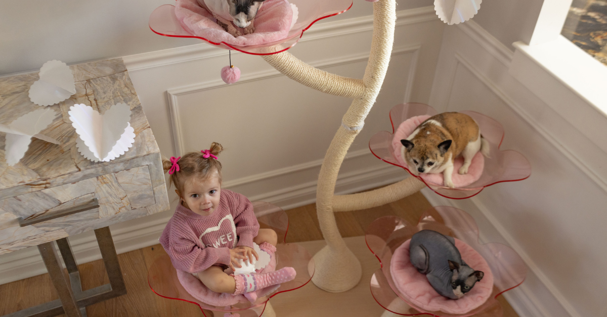 Best Cat lover gift for Valentine's Day