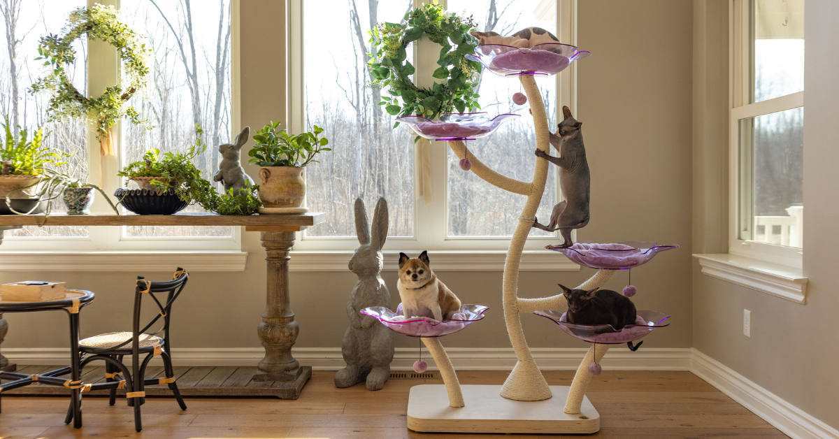 Upgrade Your Cat's Playtime: Best Modern Cat Trees for Large Cats in 2025