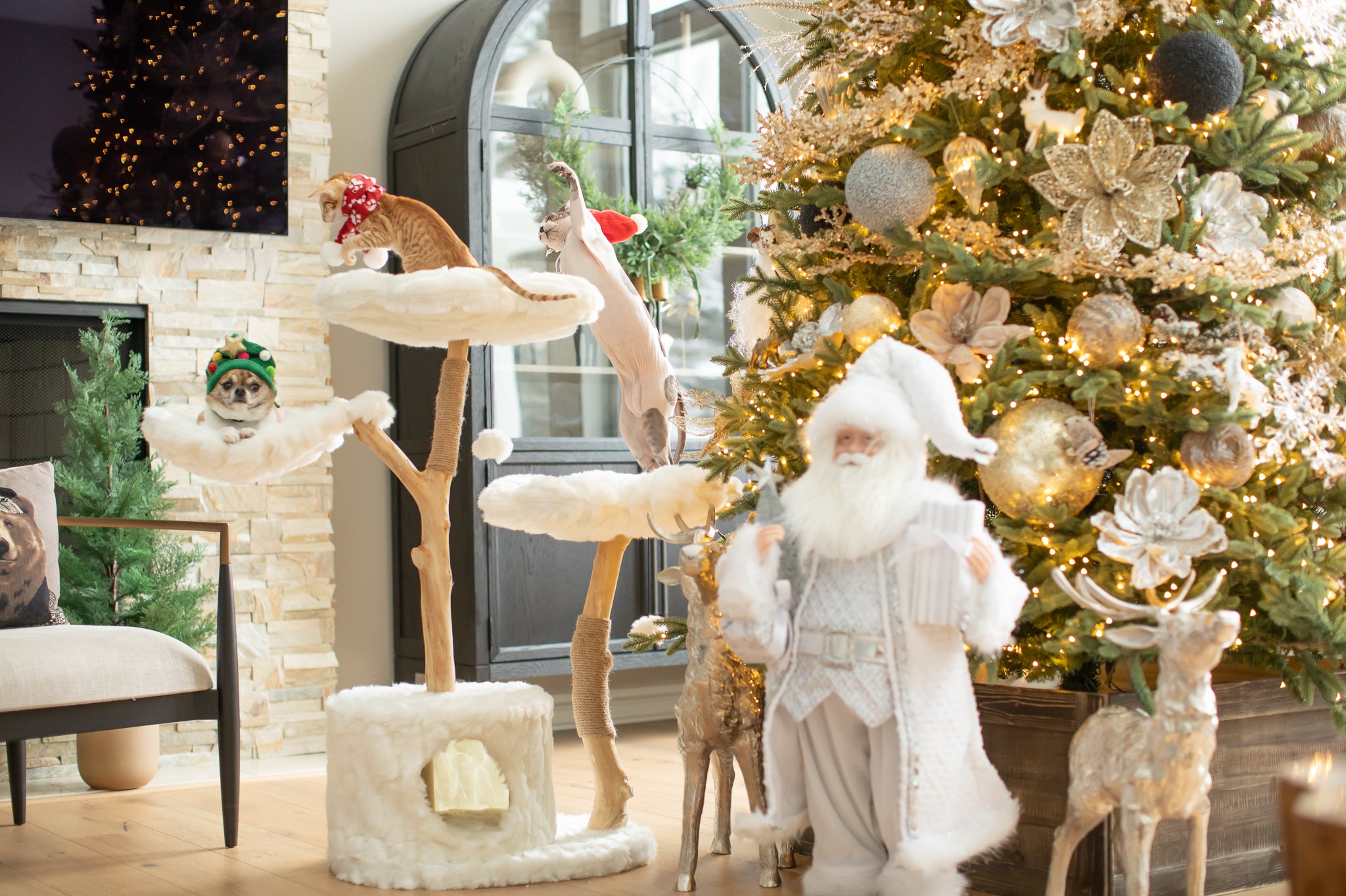 Ultimate Cat Tree Gift for Cat Lover - Black Friday Countdown