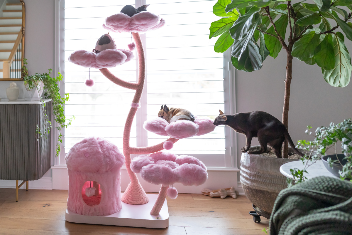 kbspets Flower & Cherry Blossom Cat Tree