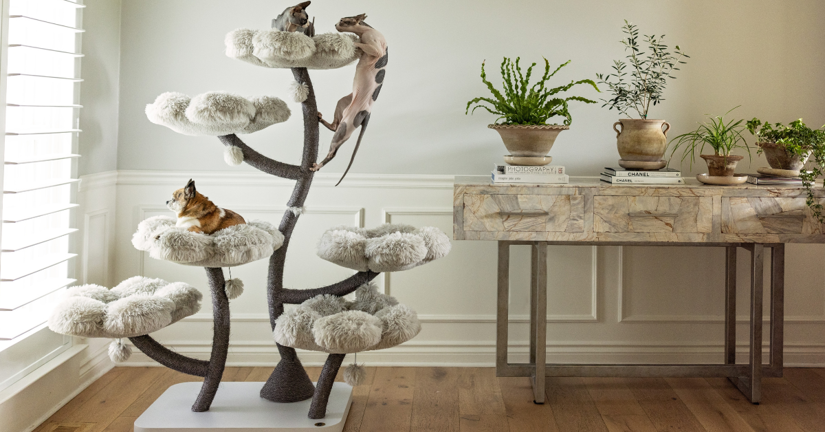 Eco friendly cat tree