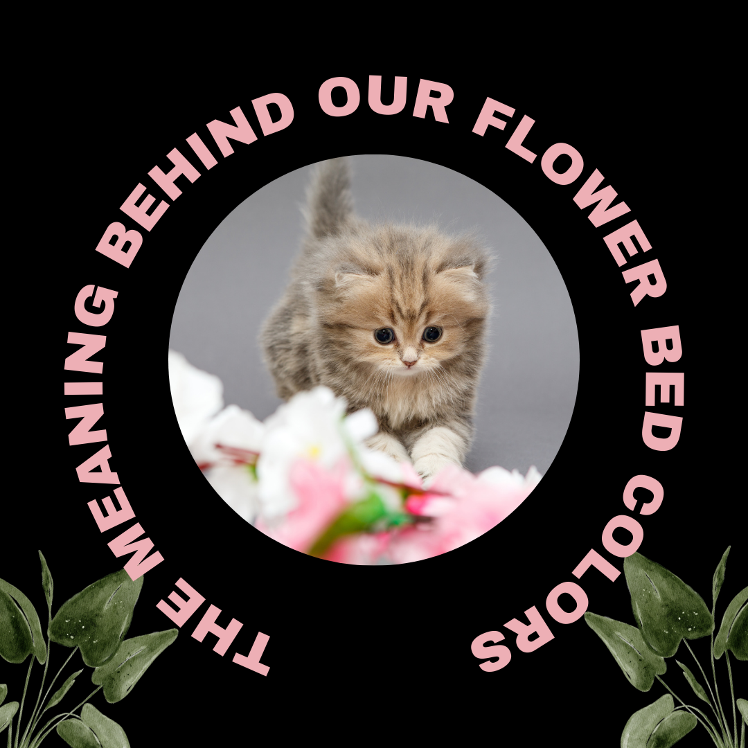 The Meaning Behind Our Flower Bed Colors