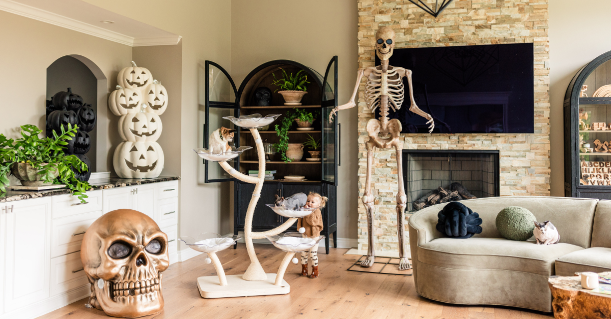 Holiday Shopping Guide Treat Your Cat With Our Best Sellers