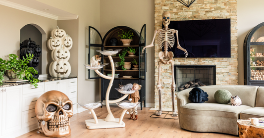 Holiday Shopping Guide Treat Your Cat With Our Best Sellers
