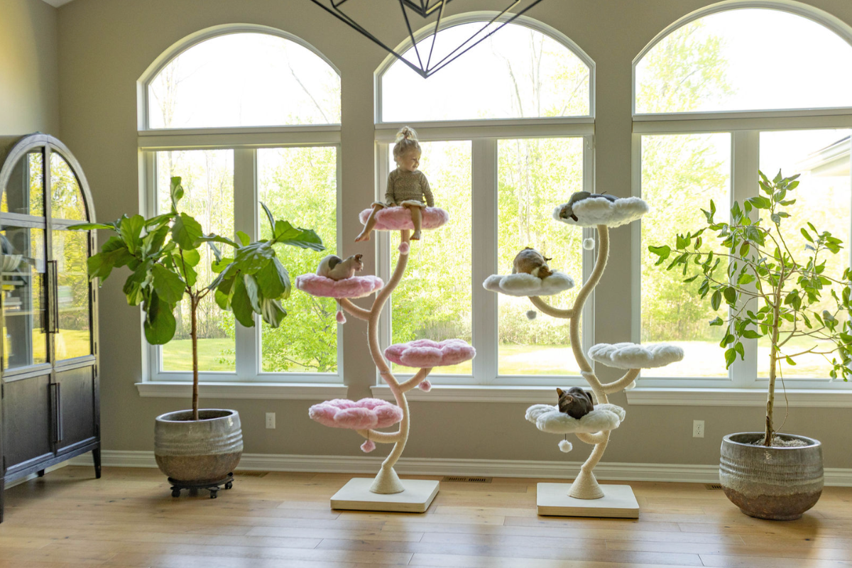 KBSPETS Eden Collection Review The Flower Cat Tree That Went Viral in 2026