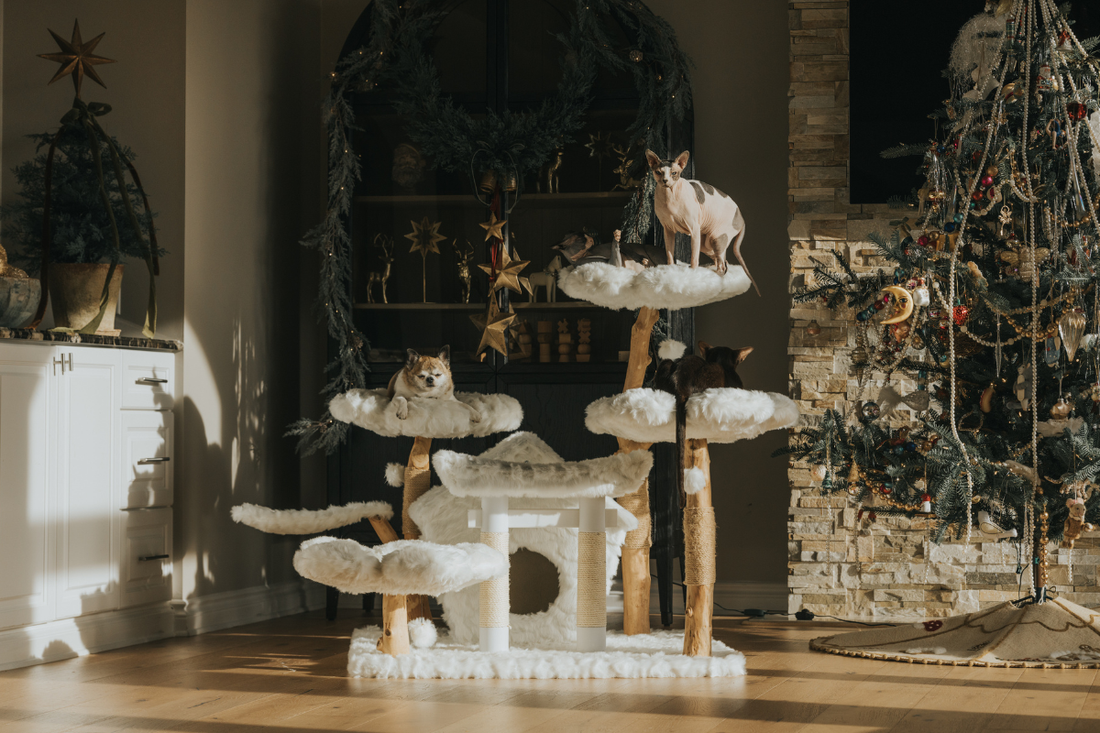 Last-Minute Cat Tree Gift Ideas for Christmas Shoppers — Holiday Picks at KBSPETS
