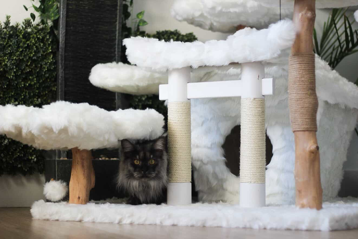 Unique Cat Furniture