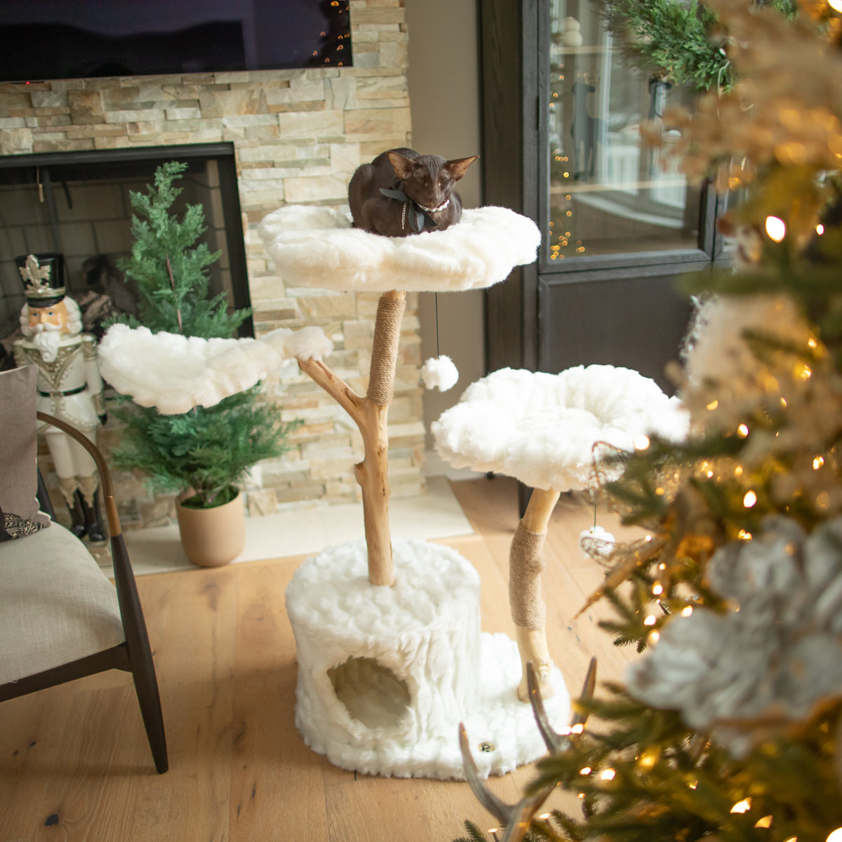 Teddy Blanc Flower Cat Tree | Luxury Floral Cat Tower & Condo 
