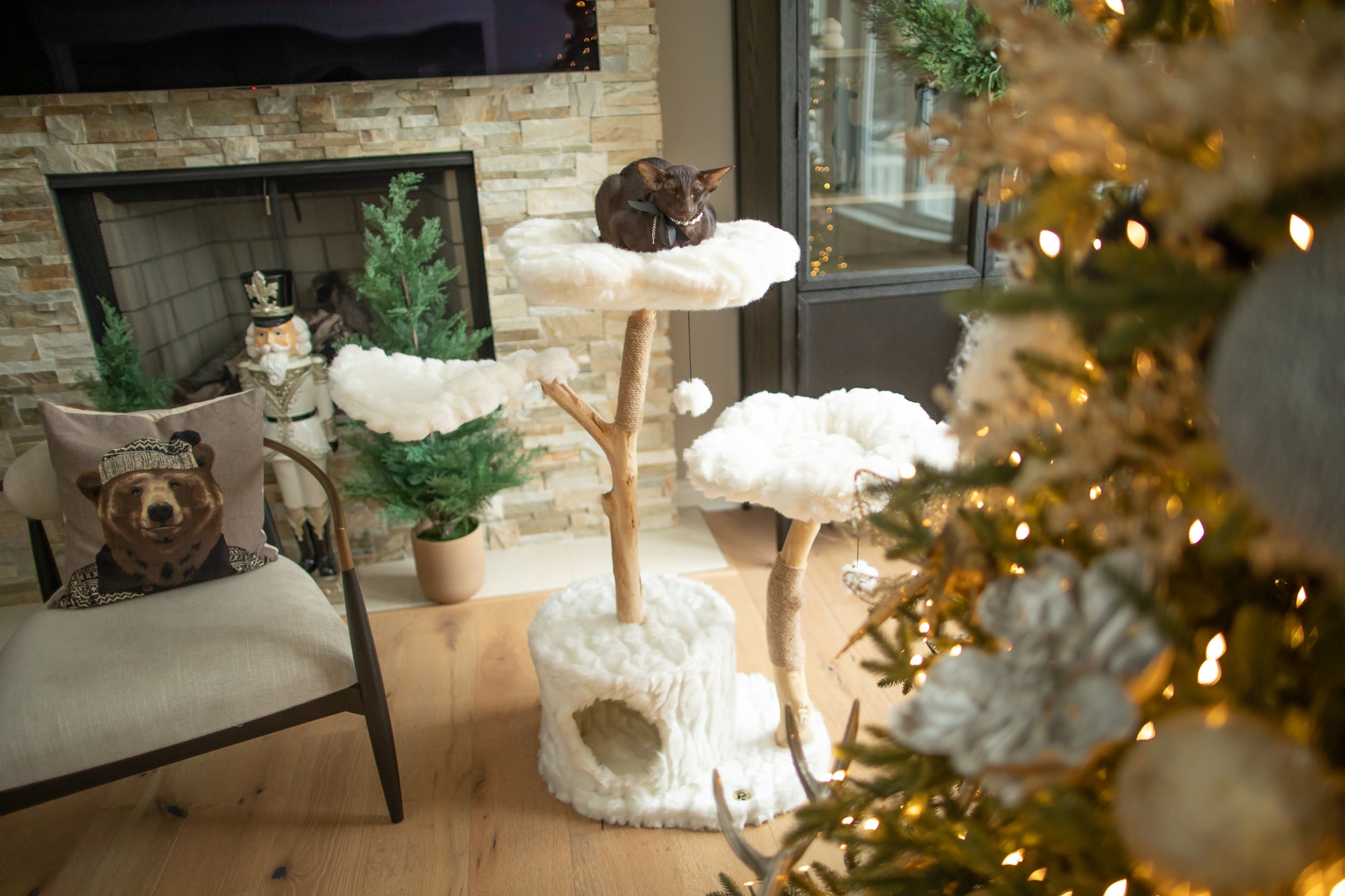 Teddy Blanc Tres Modern Cat Tree Condo, Large, White – KBSPETS