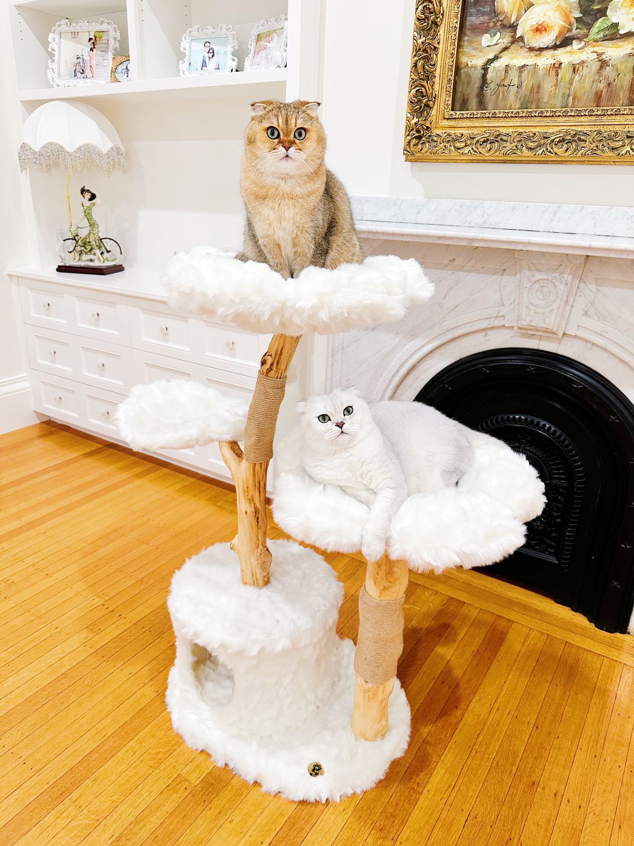 TEDDY BLANC TRES - KBS FLORAL CAT TREE