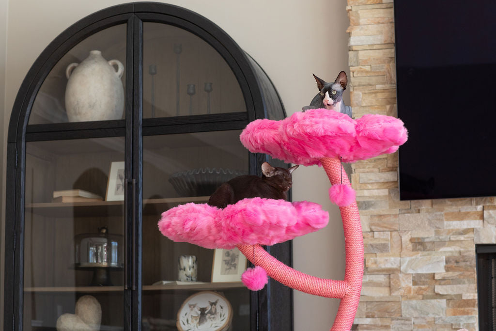 AZALEA MONOTONE EDEN: THE GARDEN OF FLOWERS