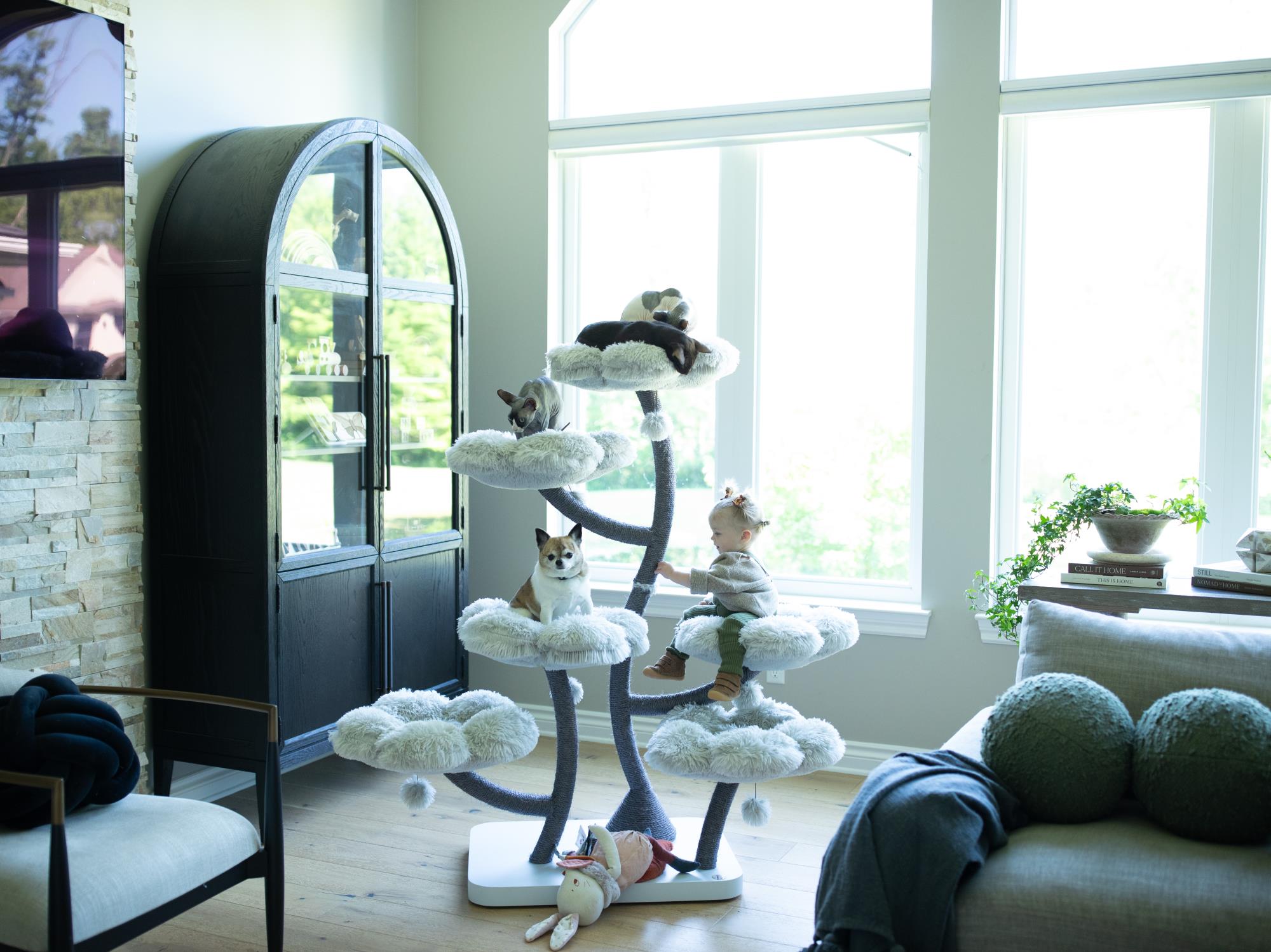 GRAPHITE GREY HEXAFLORA