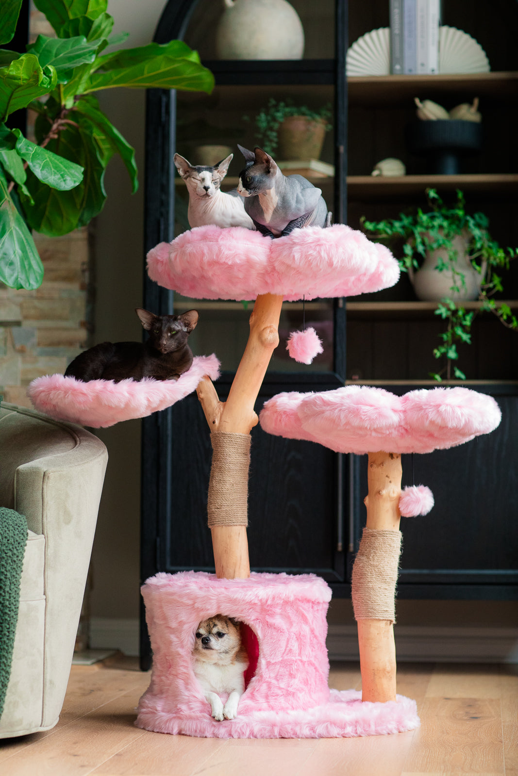 CHERRY BLOSSOM MONOTONE TRES - KBS FLORAL CAT TREE