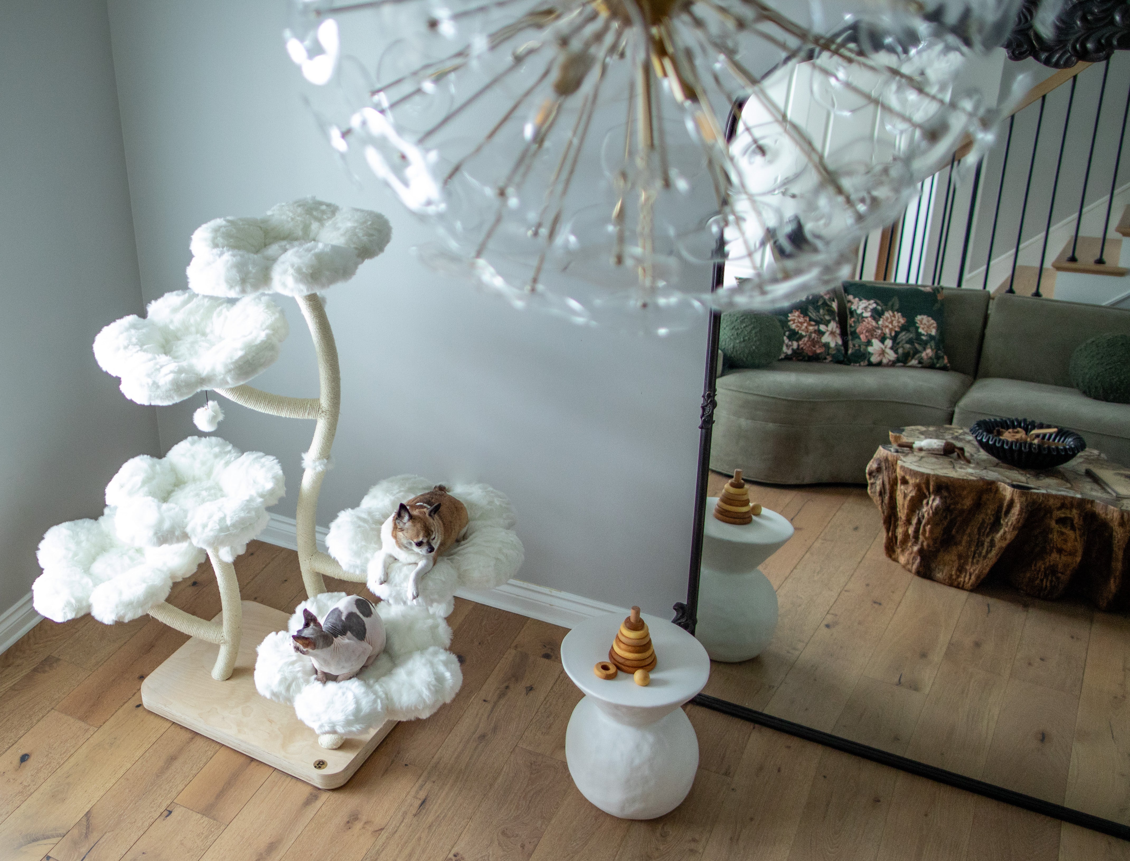 TEDDY BLANC HEXAFLORA