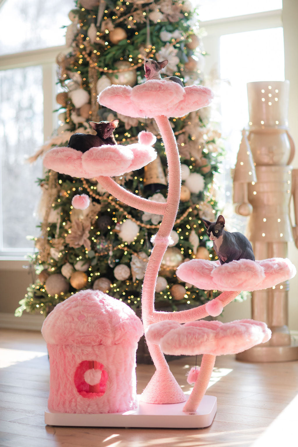 CHERRY BLOSSOM MONOTONE EDEN: THE GARDEN OF FLOWERS