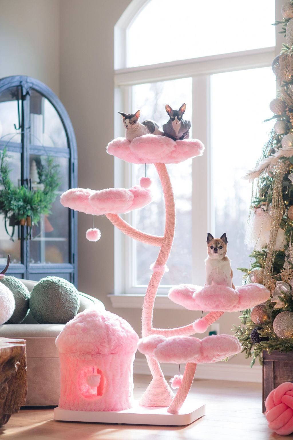 CHERRY BLOSSOM MONOTONE EDEN: THE GARDEN OF FLOWERS