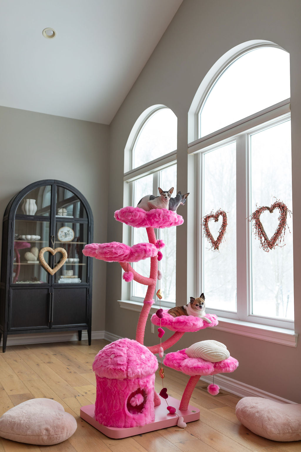 AZALEA MONOTONE EDEN: THE GARDEN OF FLOWERS