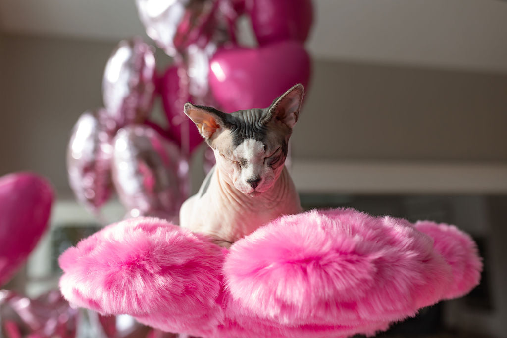 AZALEA MONOTONE EDEN: THE GARDEN OF FLOWERS