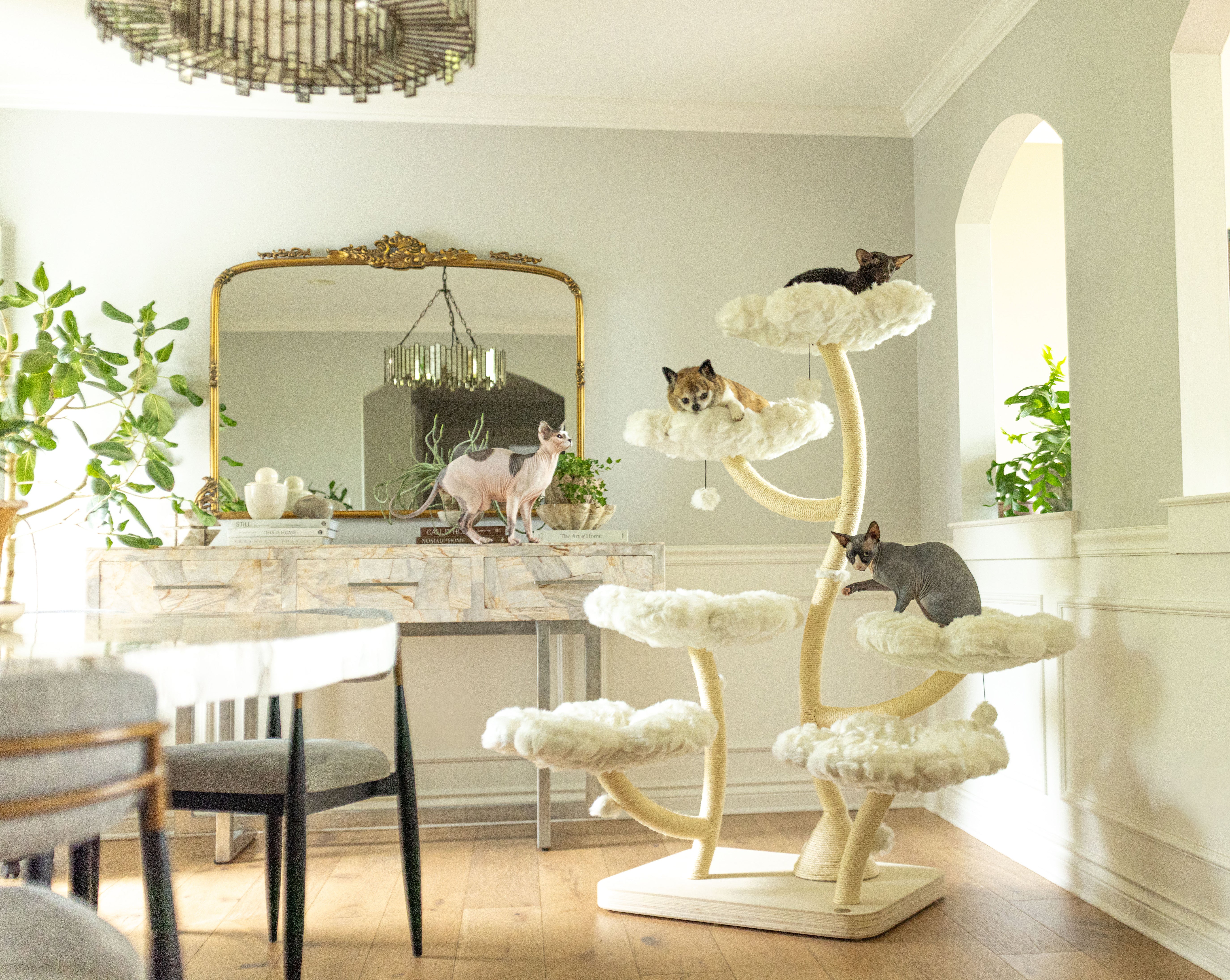 TEDDY BLANC HEXAFLORA